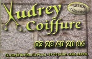 Audrey coiffure